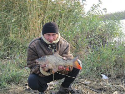 Прикрепленное изображение: IMG_0366.JPG